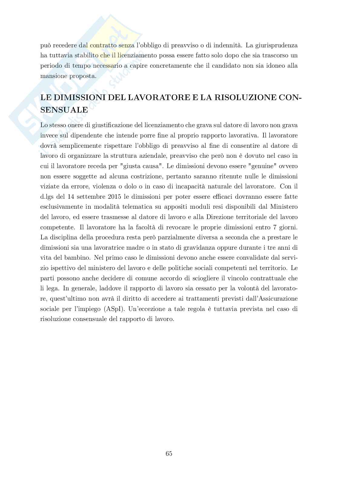 Rielaborazione Diritto del lavoro Pag. 66