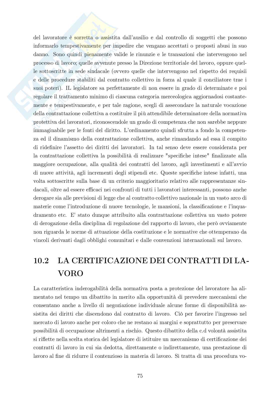 Rielaborazione Diritto del lavoro Pag. 76