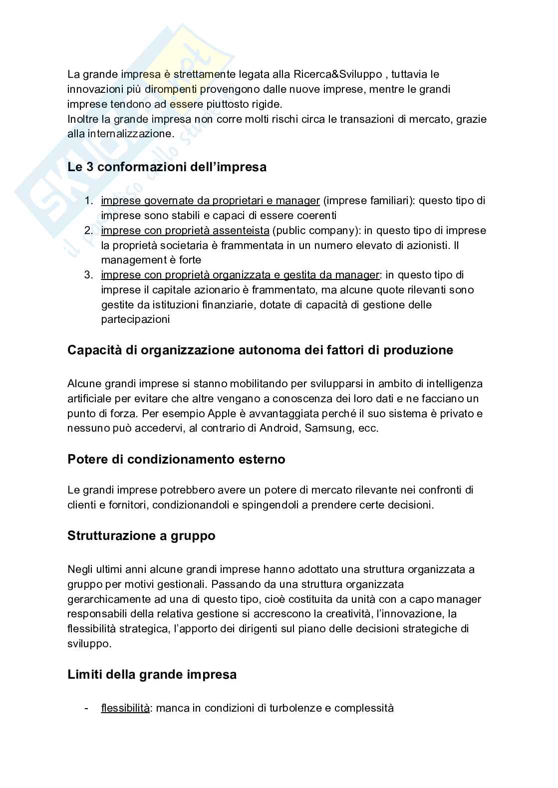 Appunti completi di Economia e gestione delle imprese Pag. 11