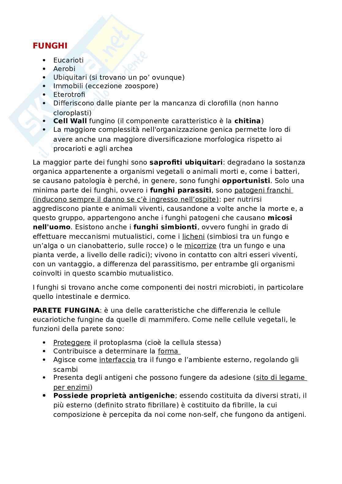 Funghi Pag. 1
