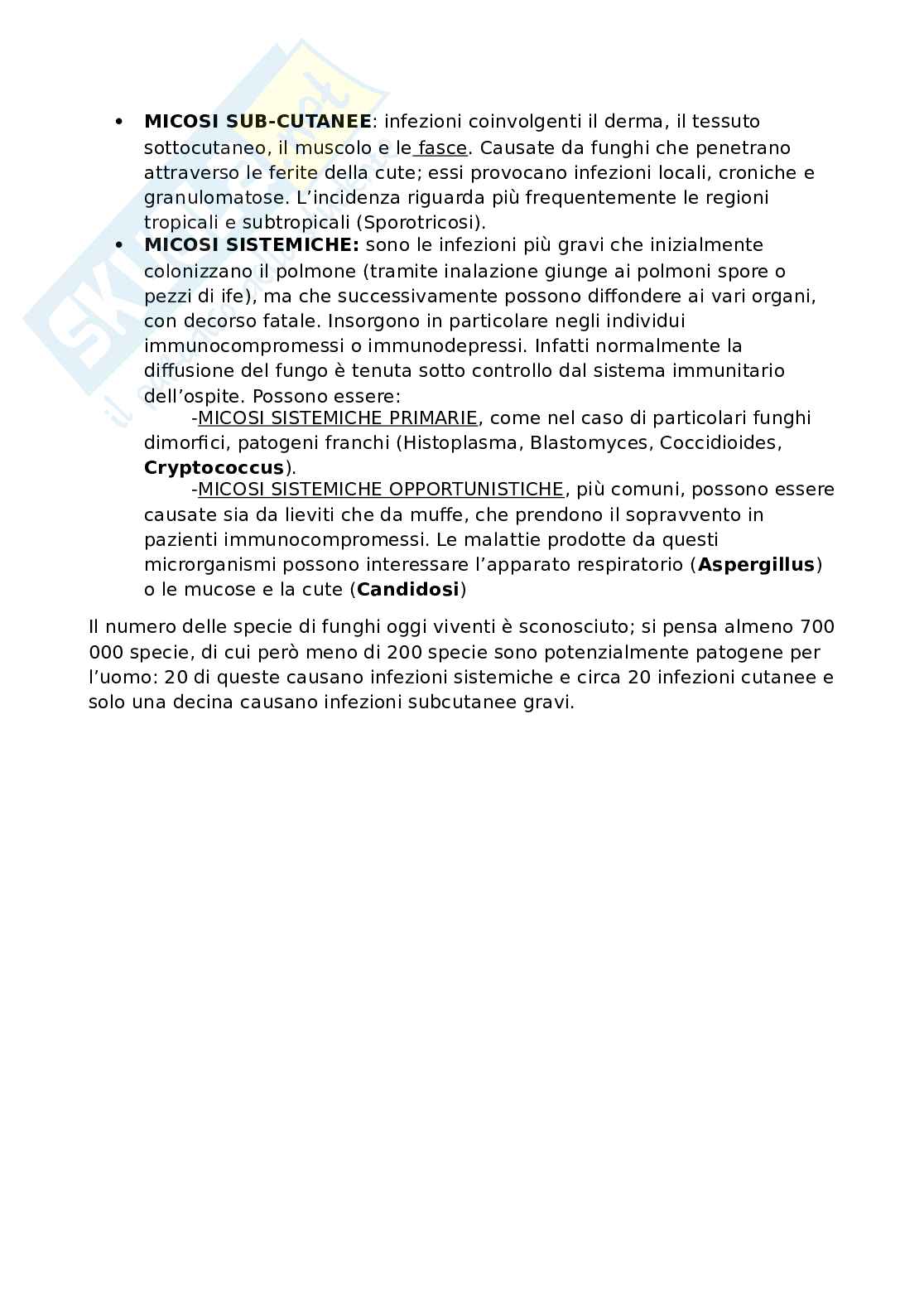 Funghi Pag. 6