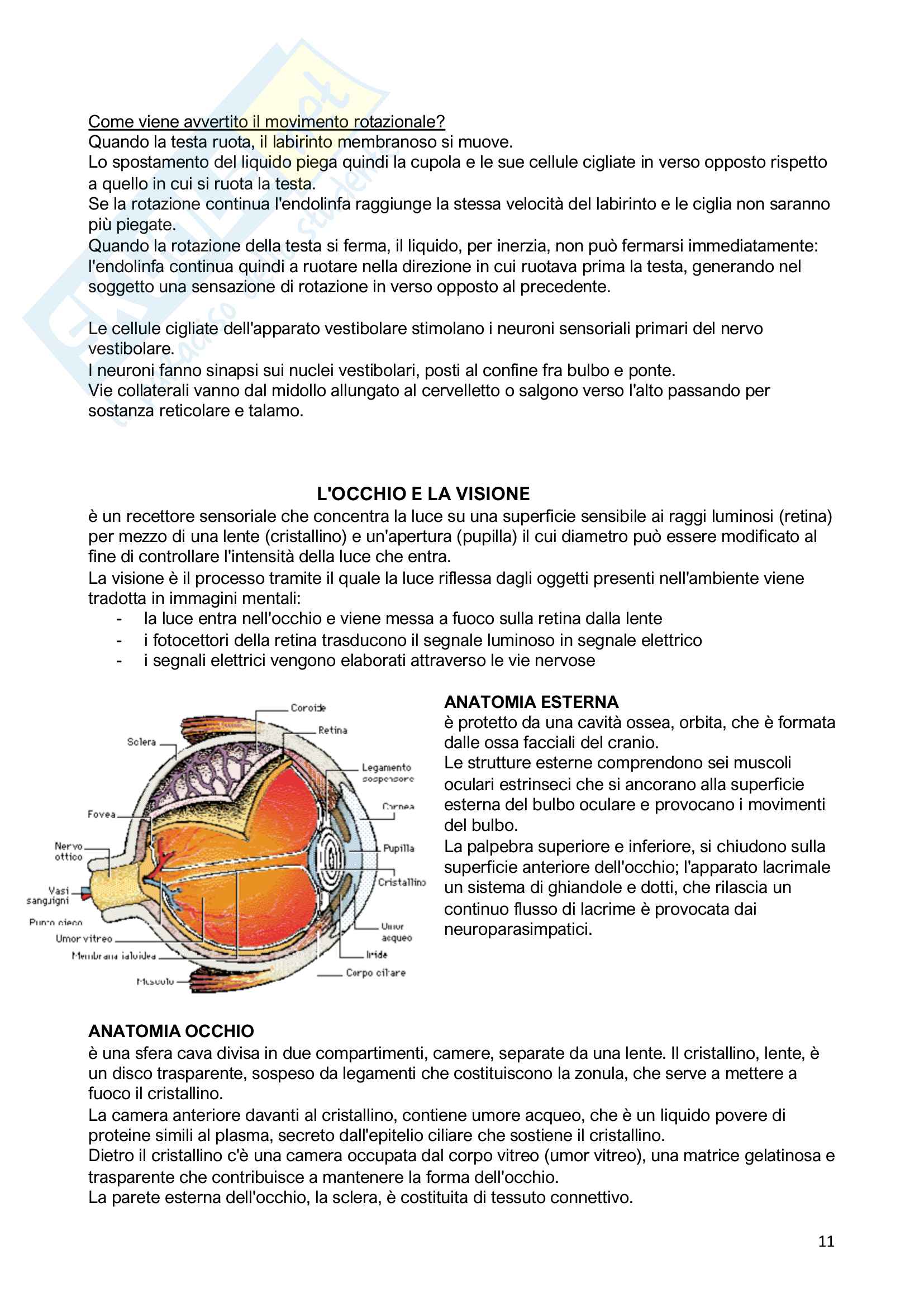 1.Fisiologia sensoriale Pag. 11