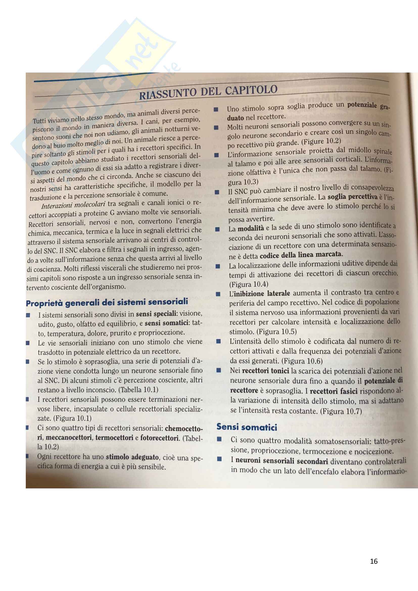 1.Fisiologia sensoriale Pag. 16