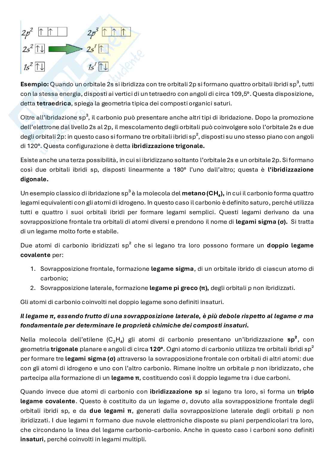 Biochimica del movimento e della prestazione Pag. 11