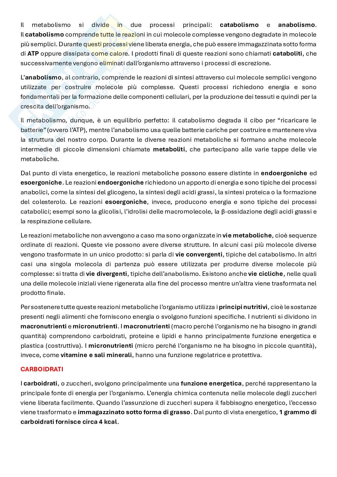 Biochimica del movimento e della prestazione Pag. 16