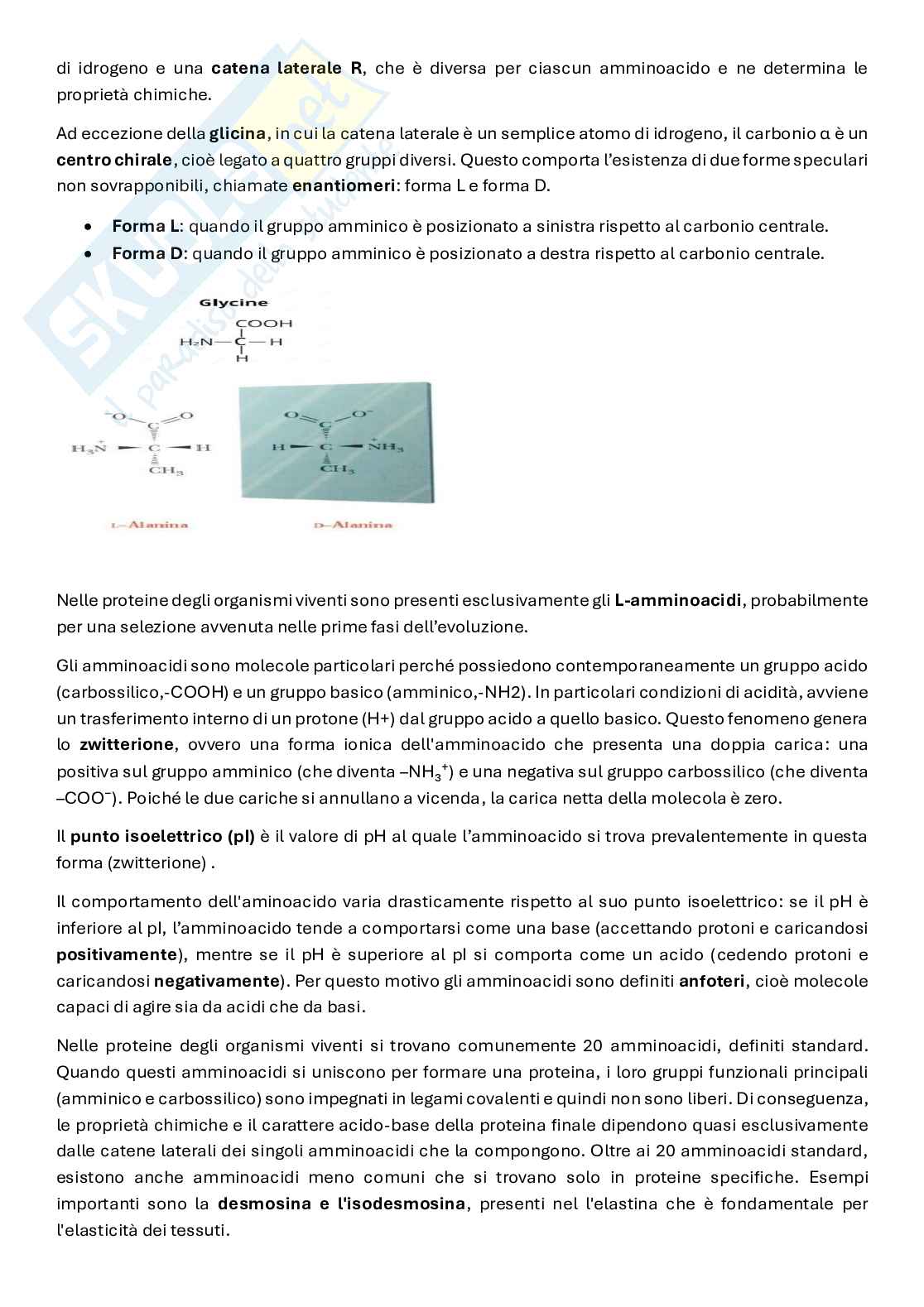 Biochimica del movimento e della prestazione Pag. 26