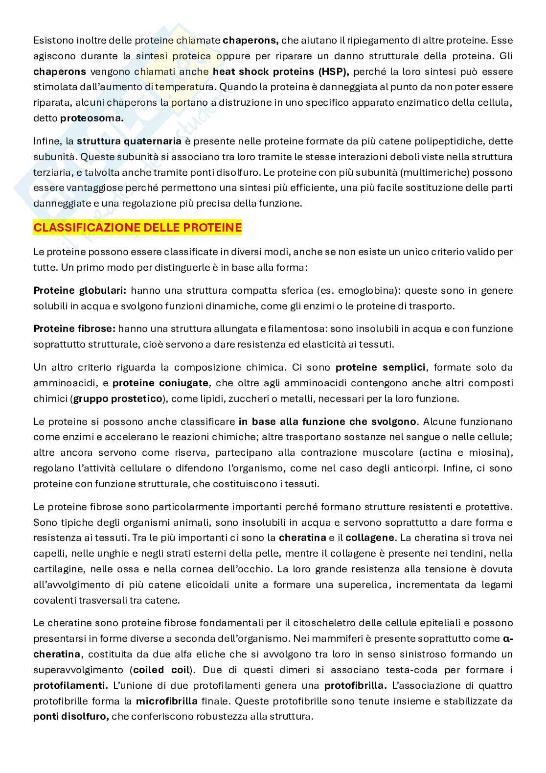 Biochimica del movimento e della prestazione Pag. 31