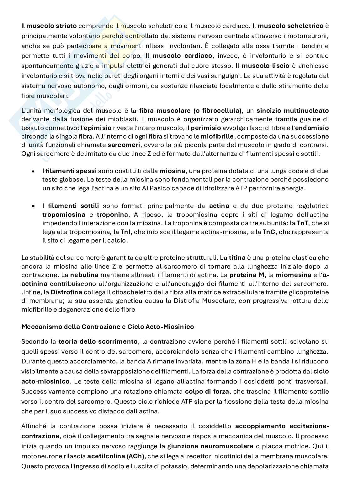 Biochimica del movimento e della prestazione Pag. 46