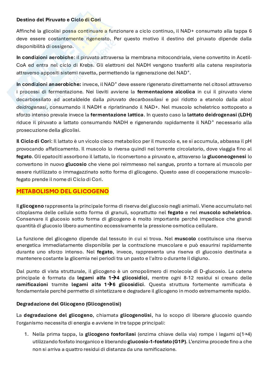 Biochimica del movimento e della prestazione Pag. 51