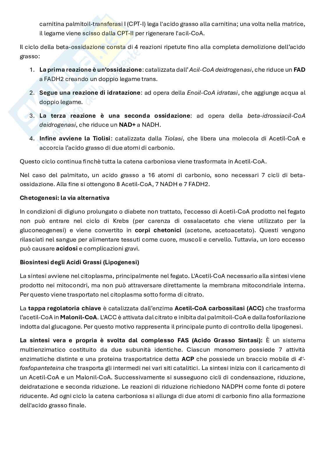 Biochimica del movimento e della prestazione Pag. 56