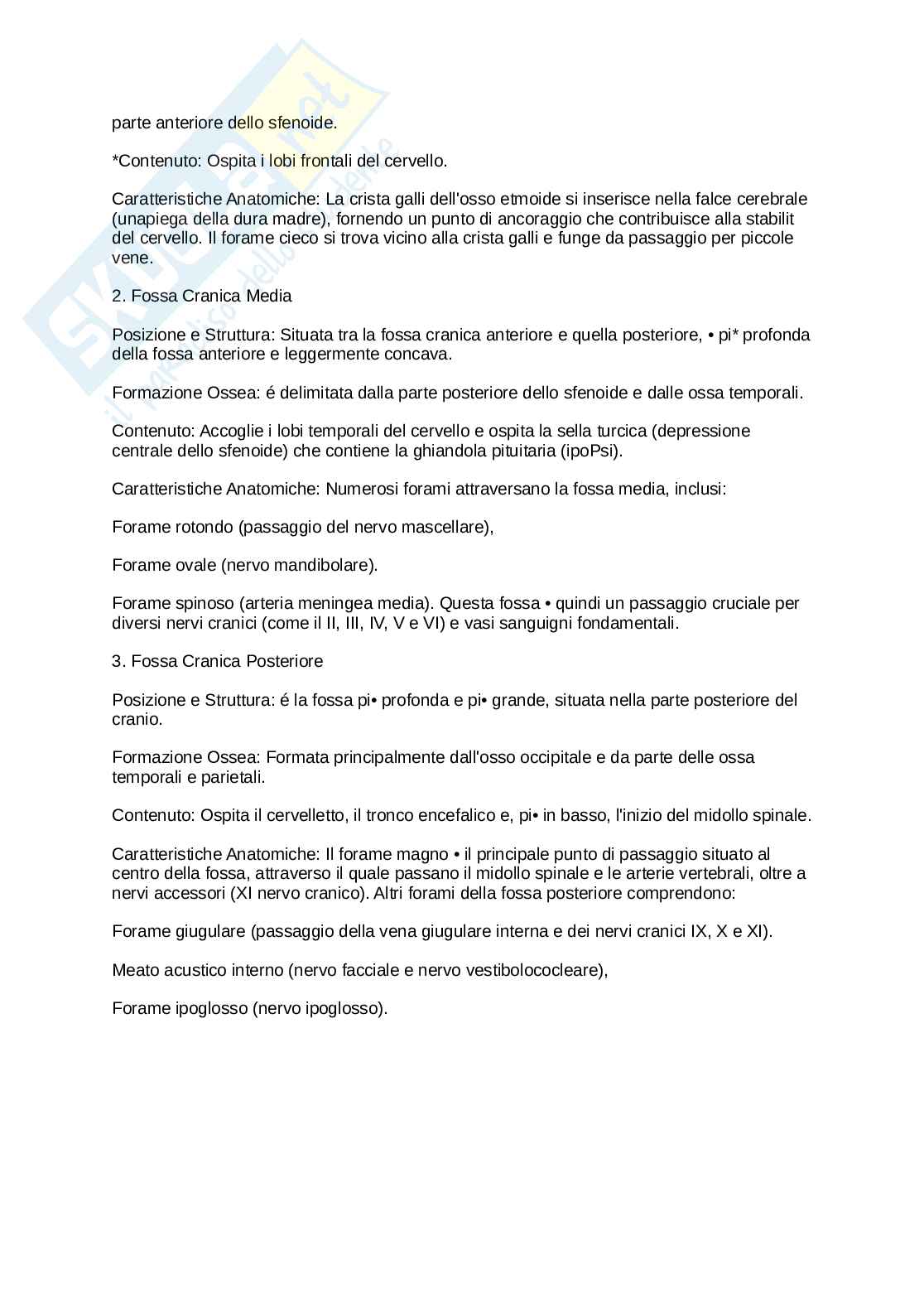 Anatomia umana  Pag. 11