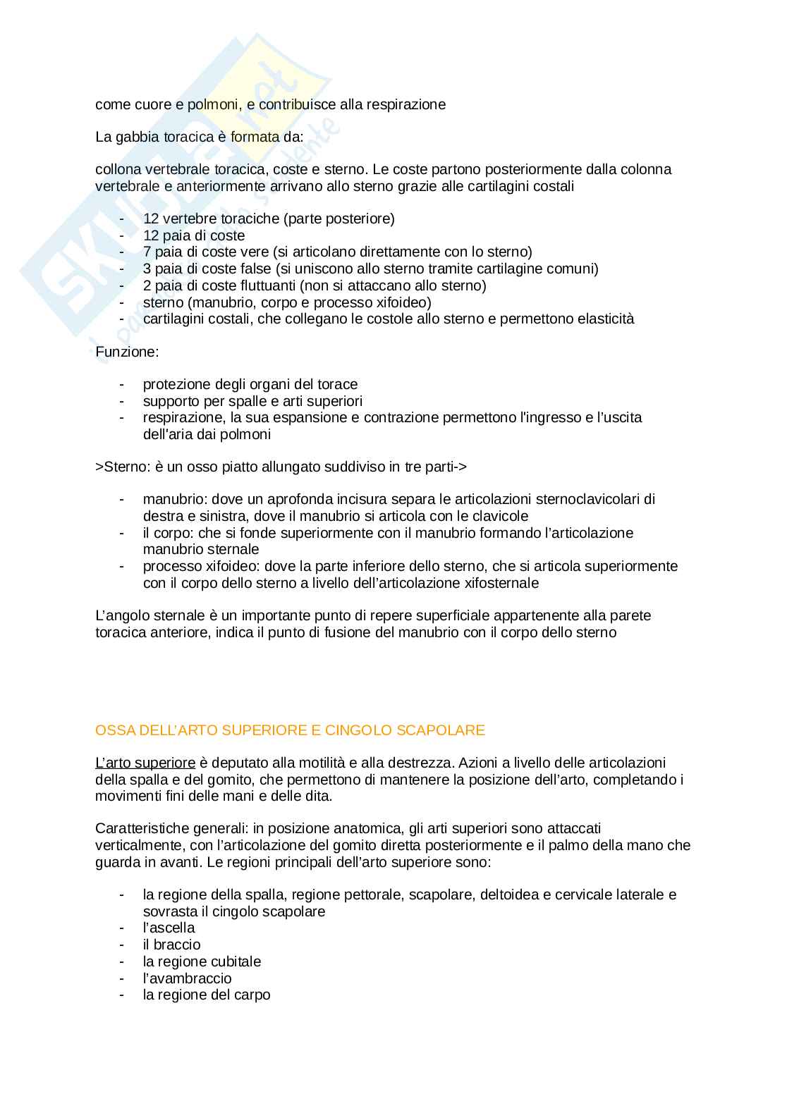 Anatomia umana  Pag. 16