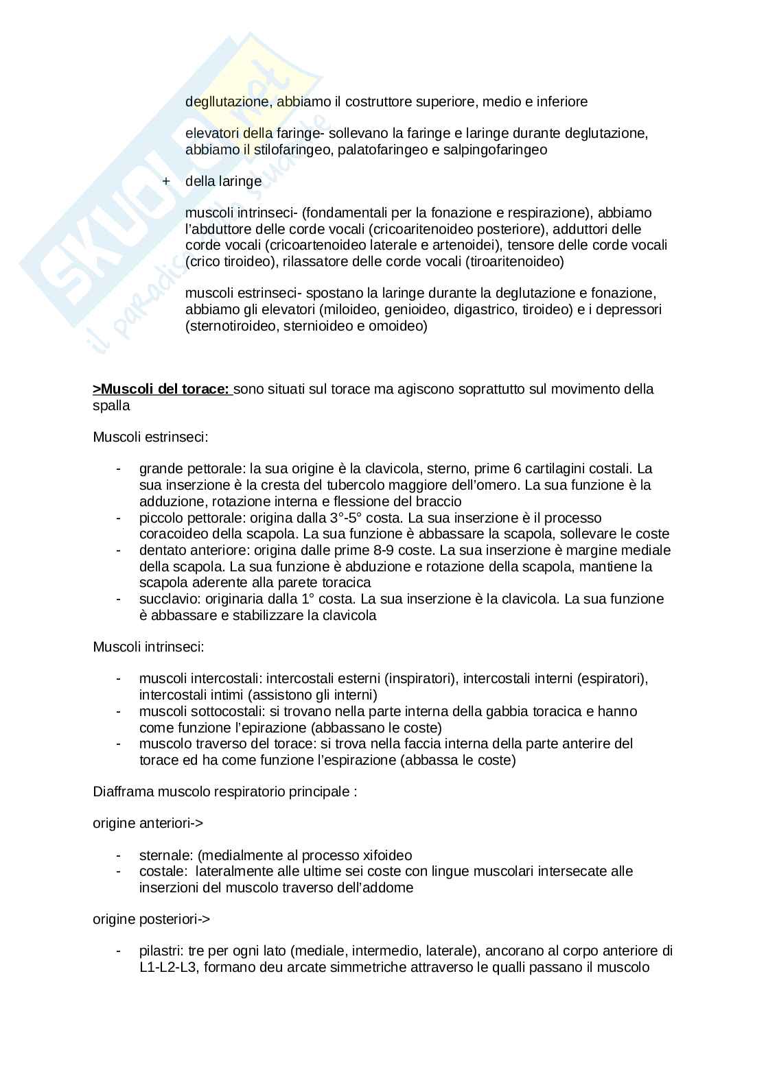 Anatomia umana  Pag. 21