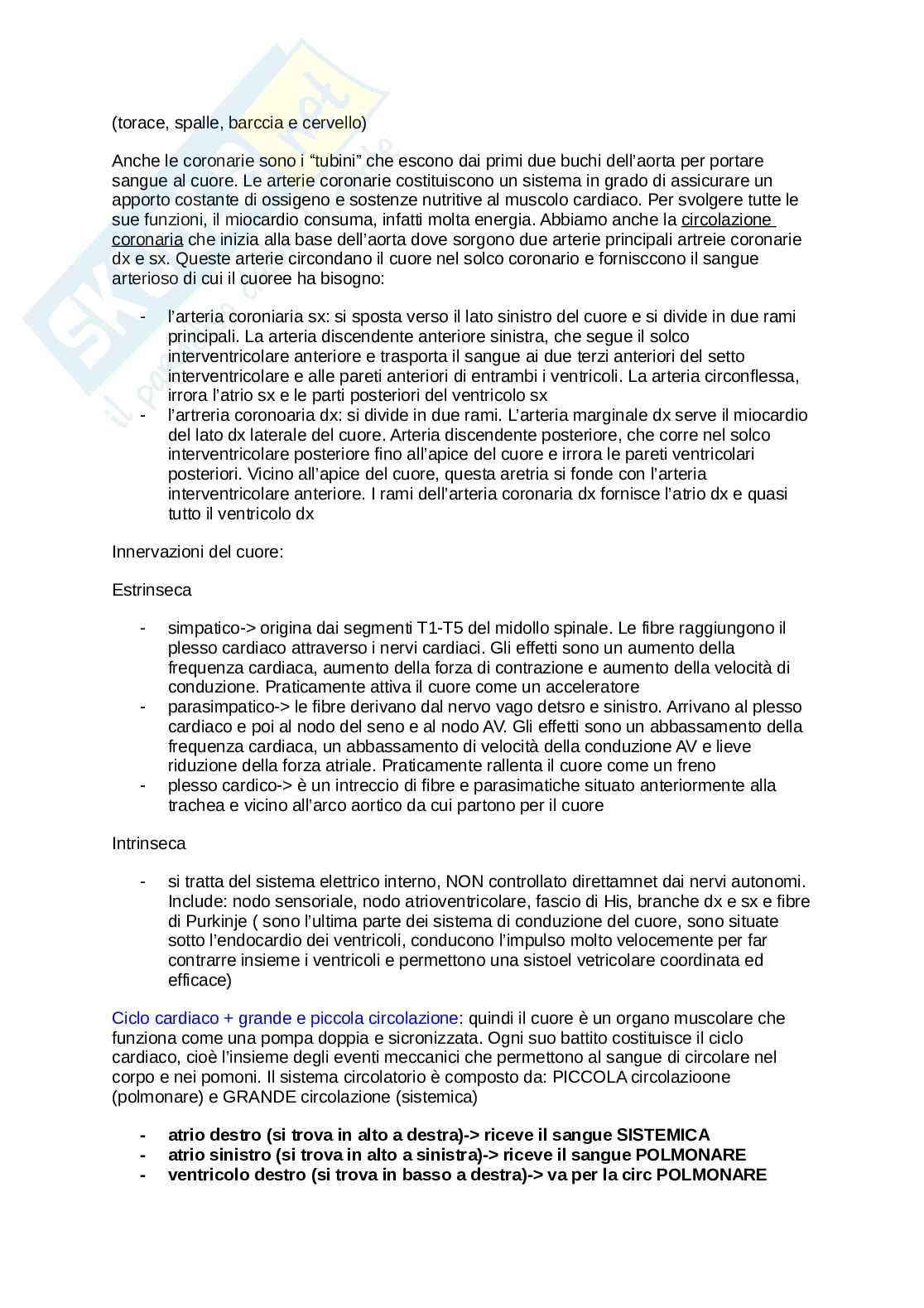 Anatomia umana  Pag. 26