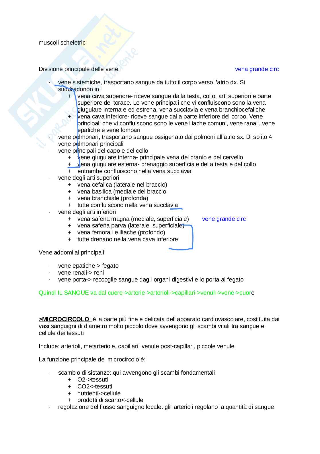 Anatomia umana  Pag. 31