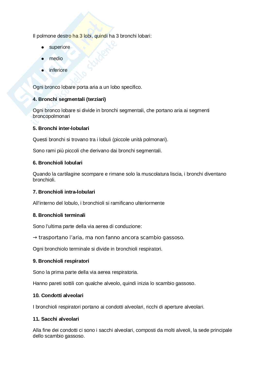 Anatomia umana  Pag. 51