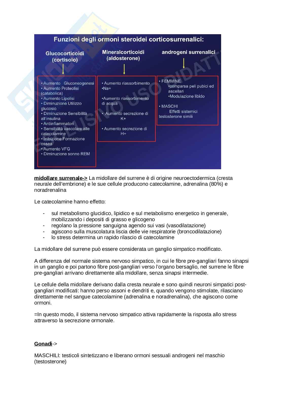 Anatomia umana  Pag. 71