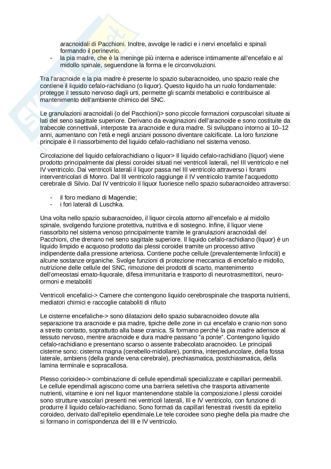 Anatomia umana  Pag. 81