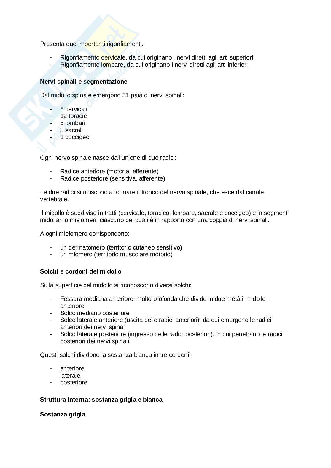 Anatomia umana  Pag. 86