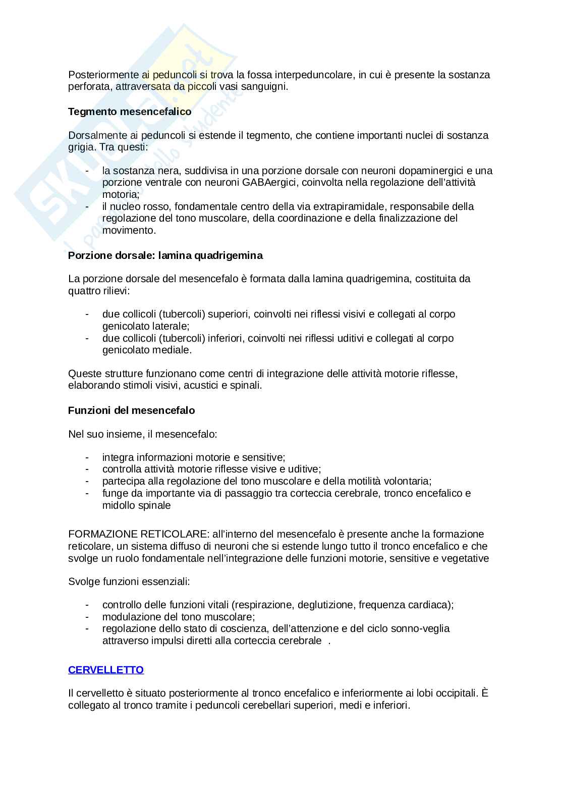 Anatomia umana  Pag. 91