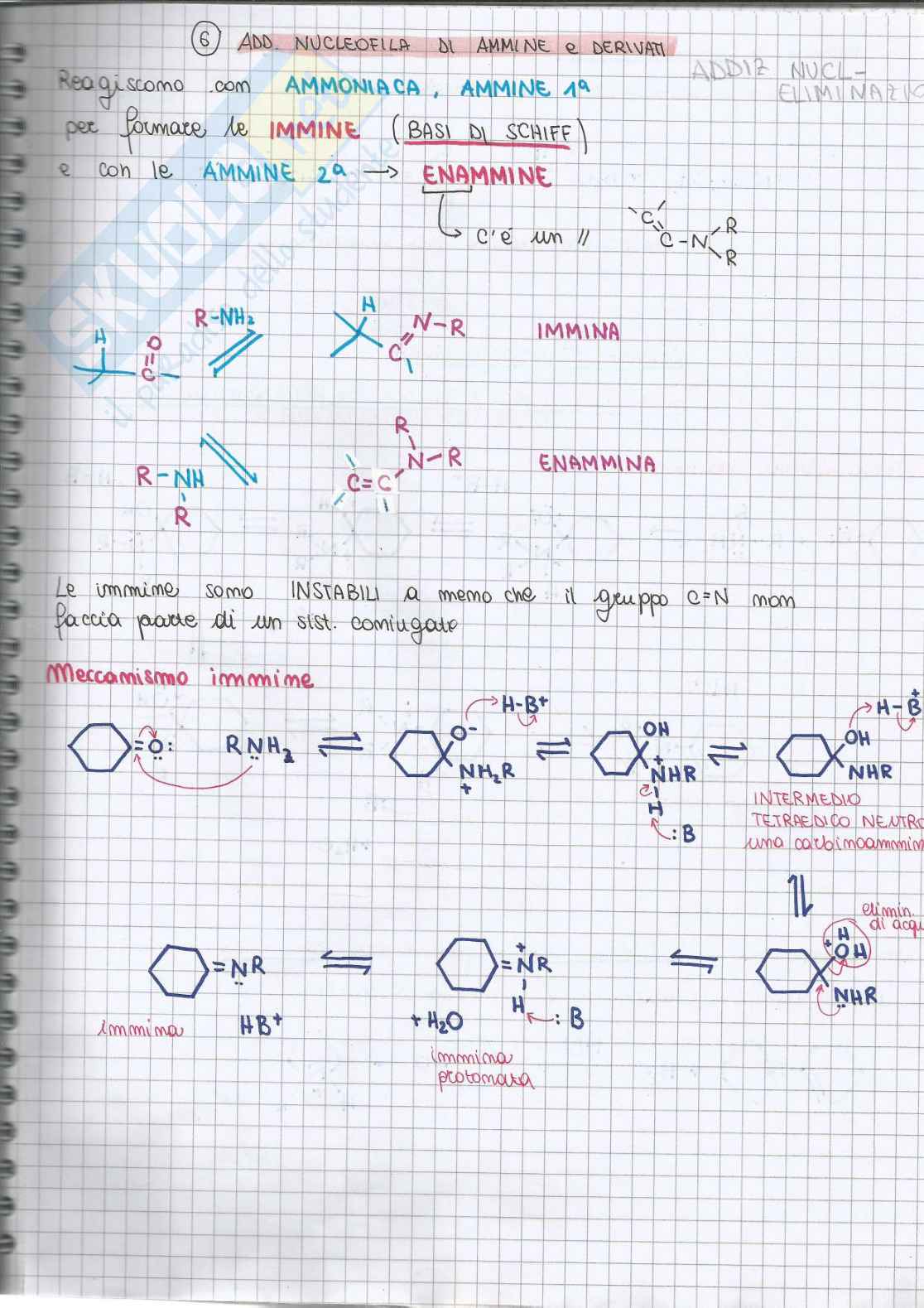 Chimica organica - parte 6 Pag. 2