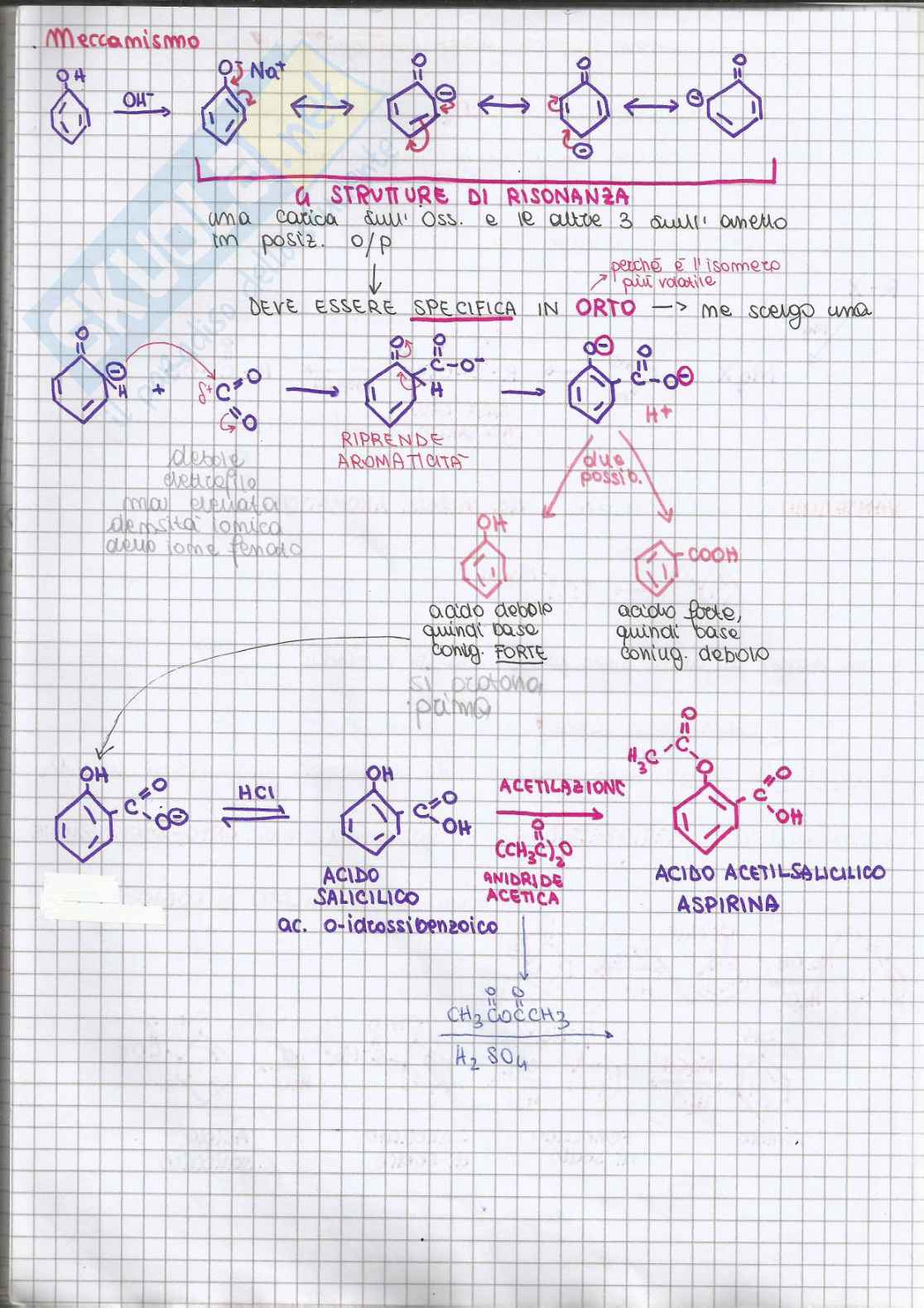 Chimica organica - parte 6 Pag. 31