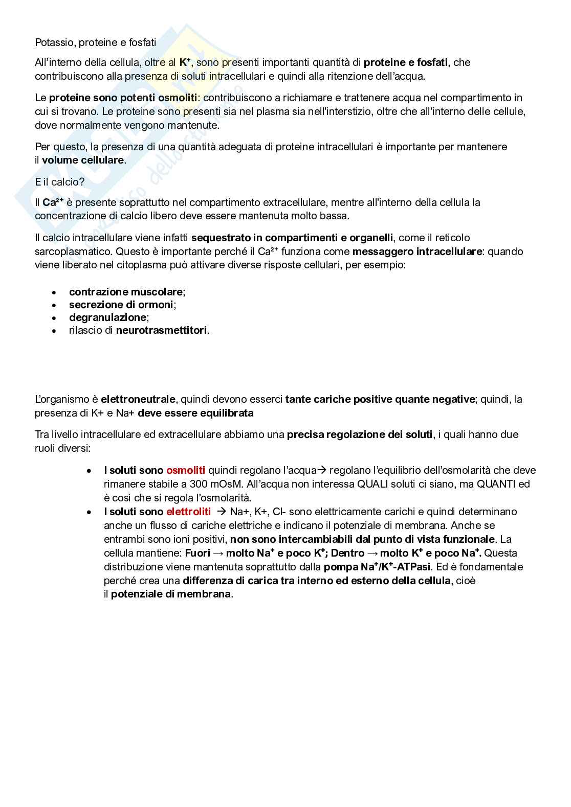 Fisiologia umana Pag. 11