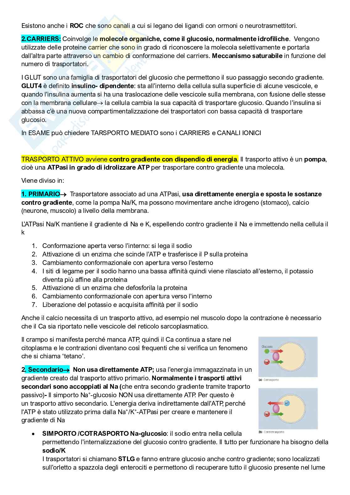Fisiologia umana Pag. 16