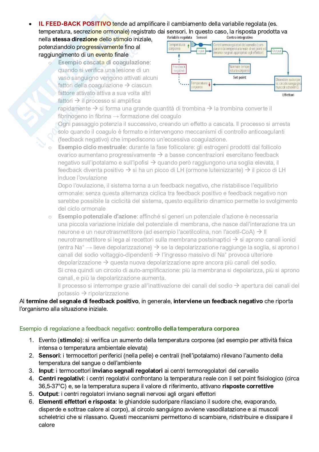Fisiologia umana Pag. 2