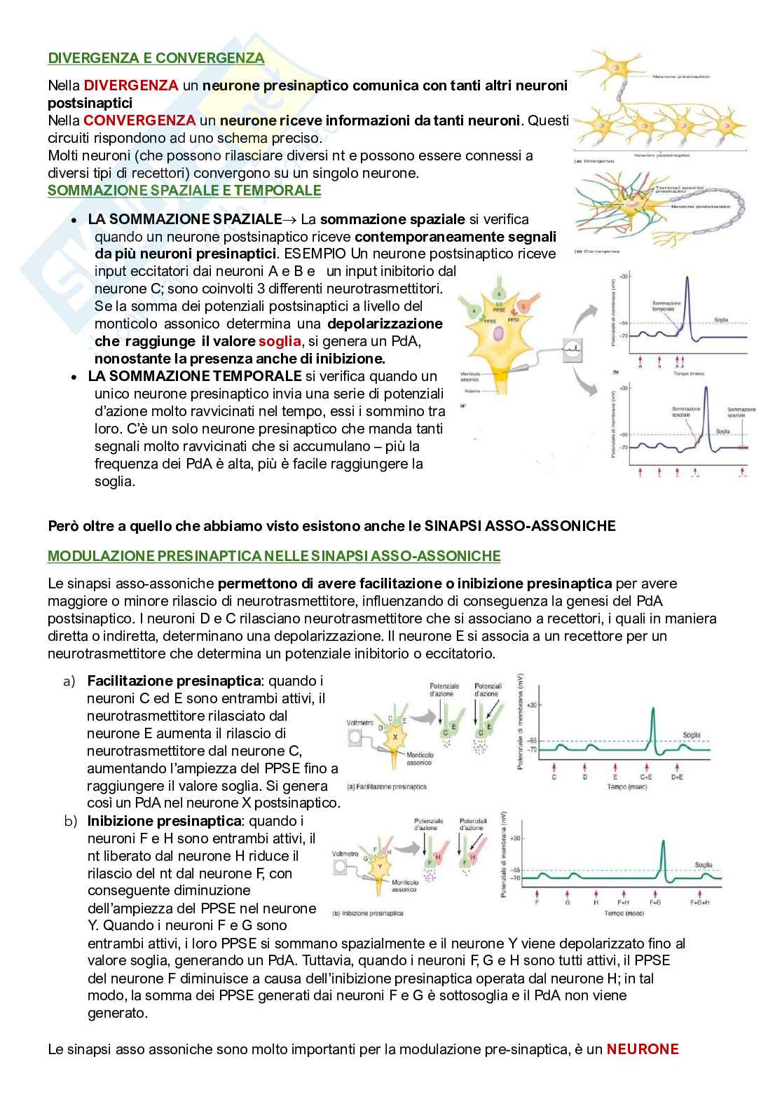 Fisiologia umana Pag. 36