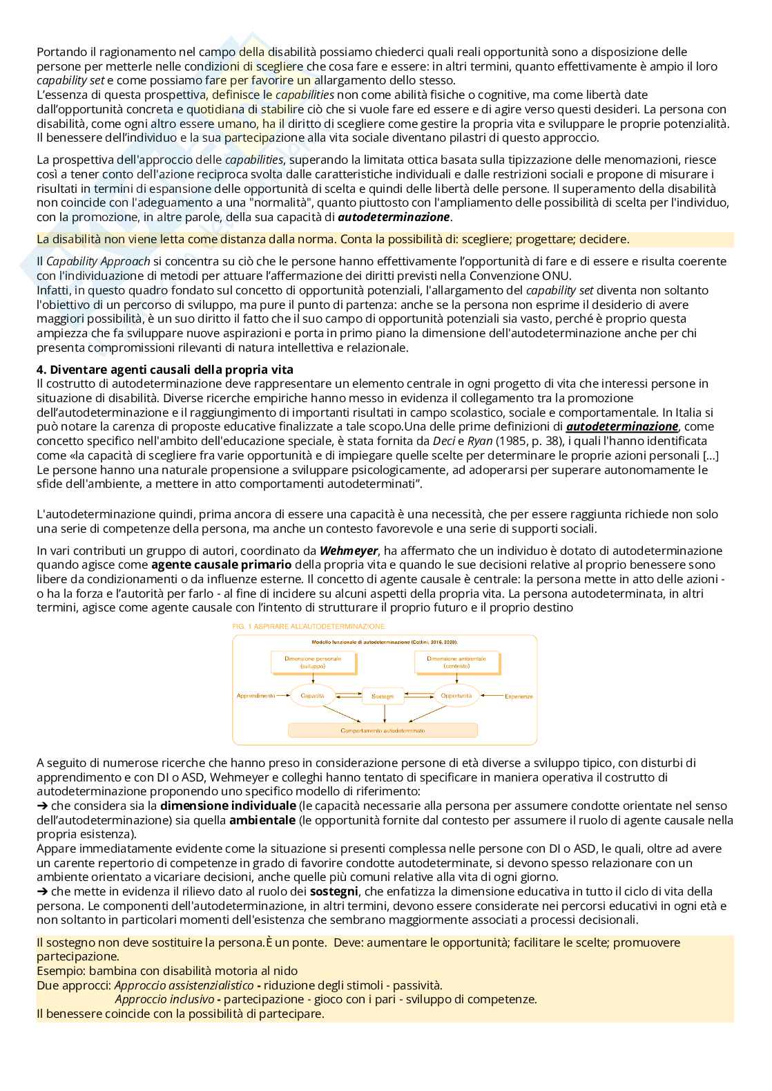 Appunti di Didattica e pedagogia speciale Pag. 6