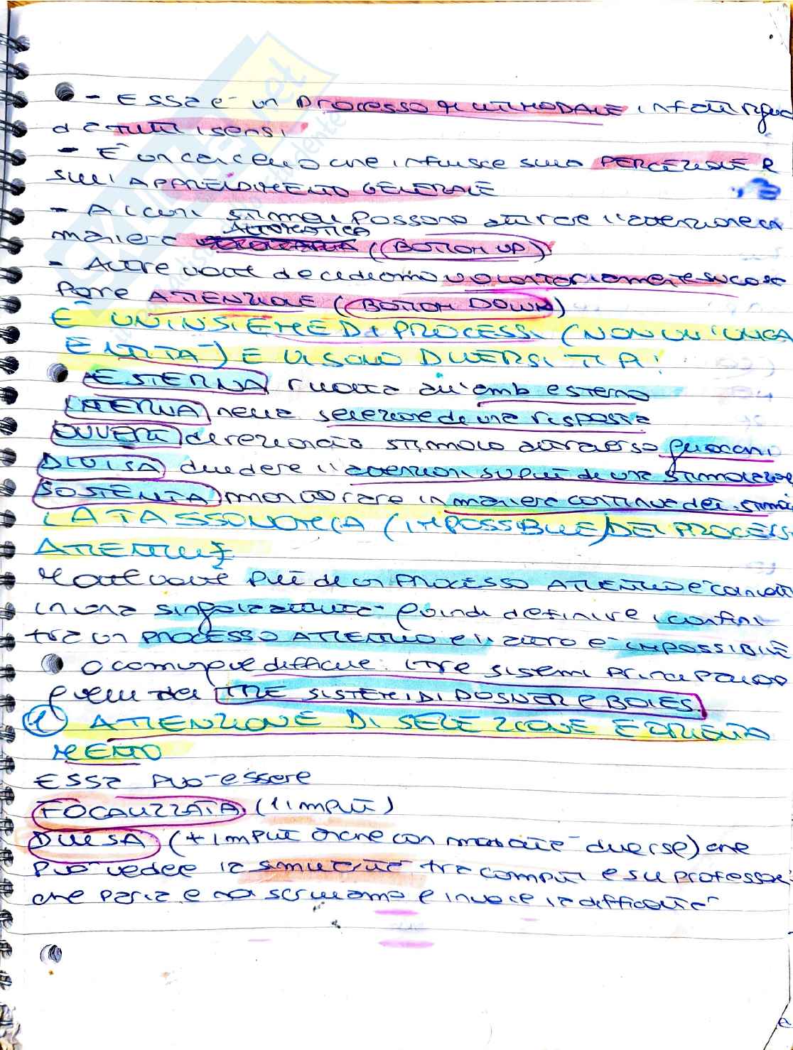 Elementi di psicobiologia: sistemi attentivi e modelli di filtro (Broadbent) Pag. 1