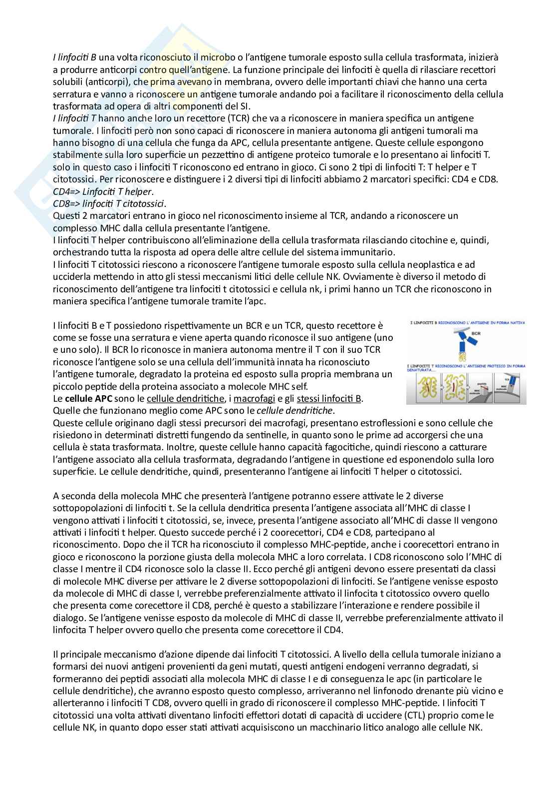 Oncologia per Professioni Sanitarie Pag. 51