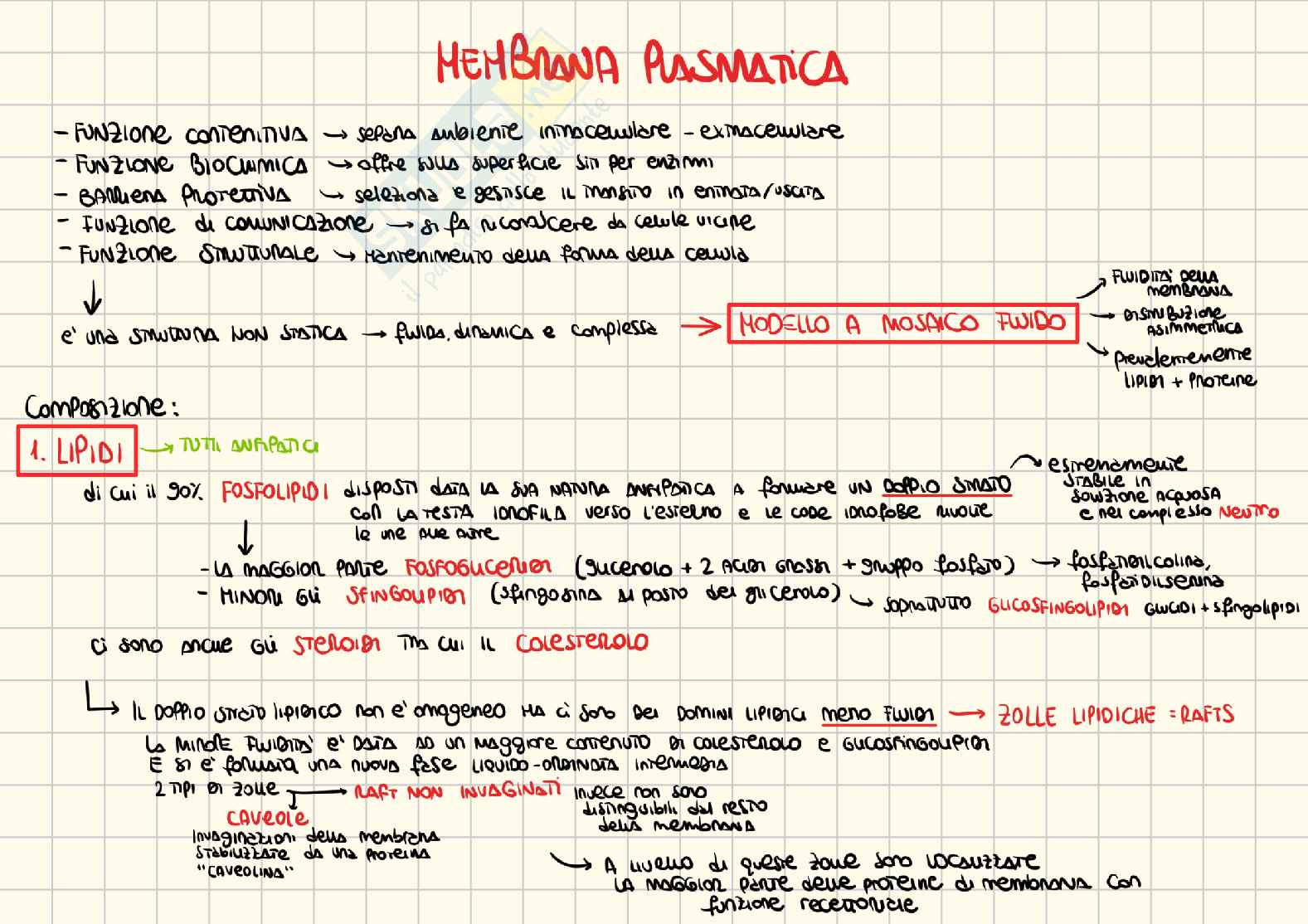 Appunti di Biologia generale e genetica Pag. 2