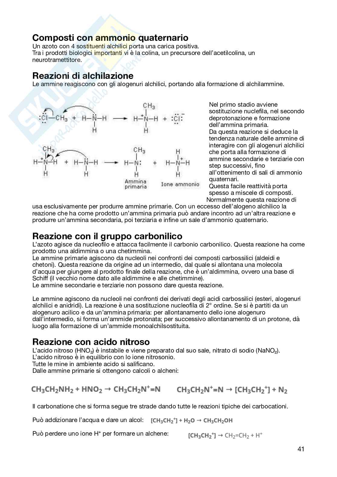 Appunti Chimica organica semestre filtro  Pag. 41
