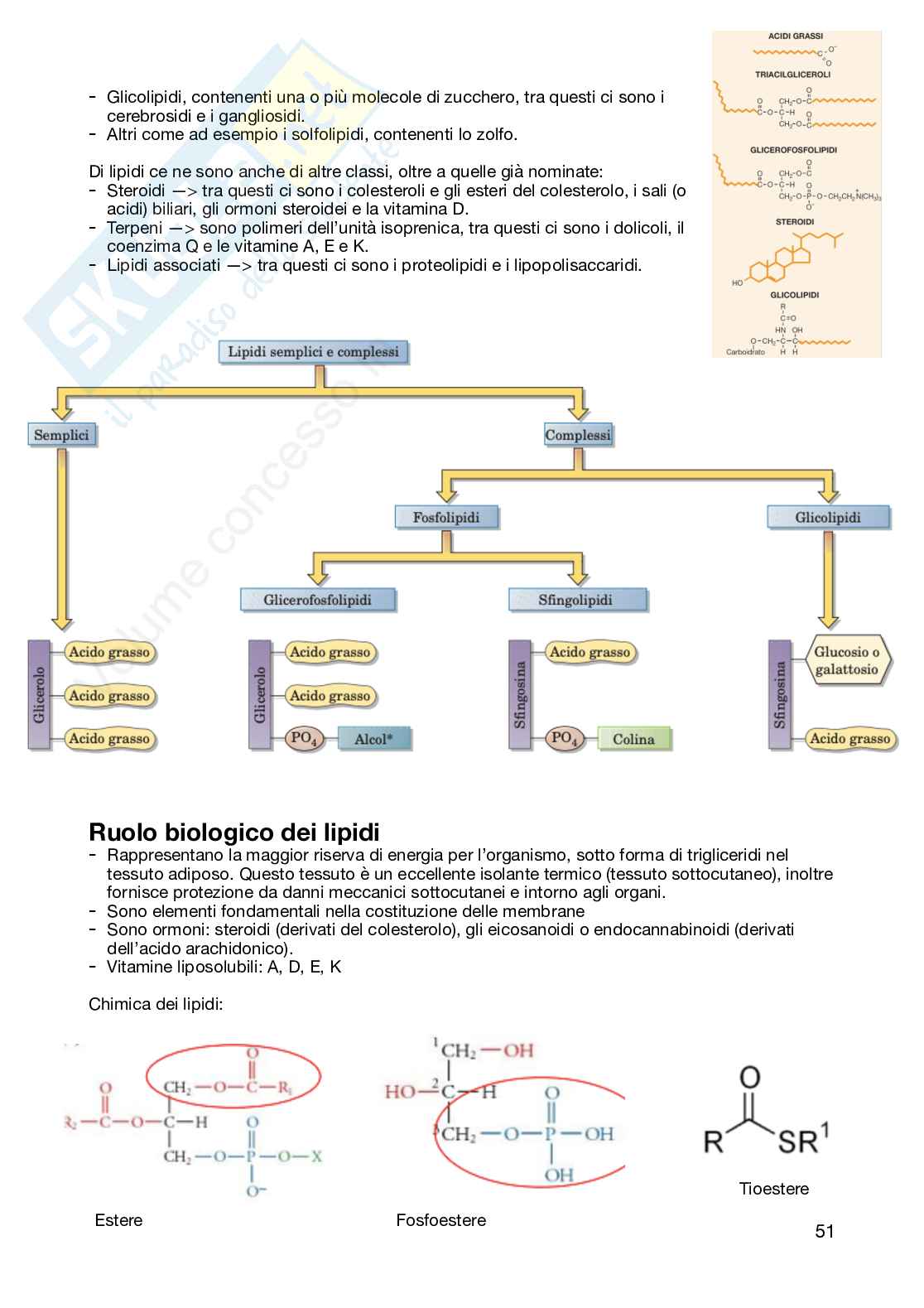 Appunti Chimica organica semestre filtro  Pag. 51