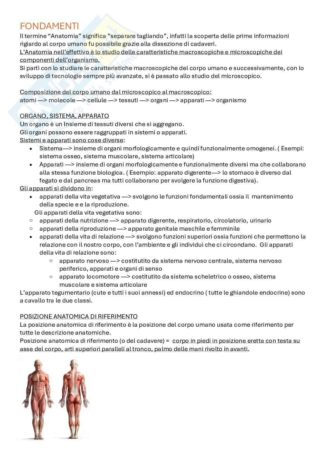 Appunti Anatomia umana  Pag. 2