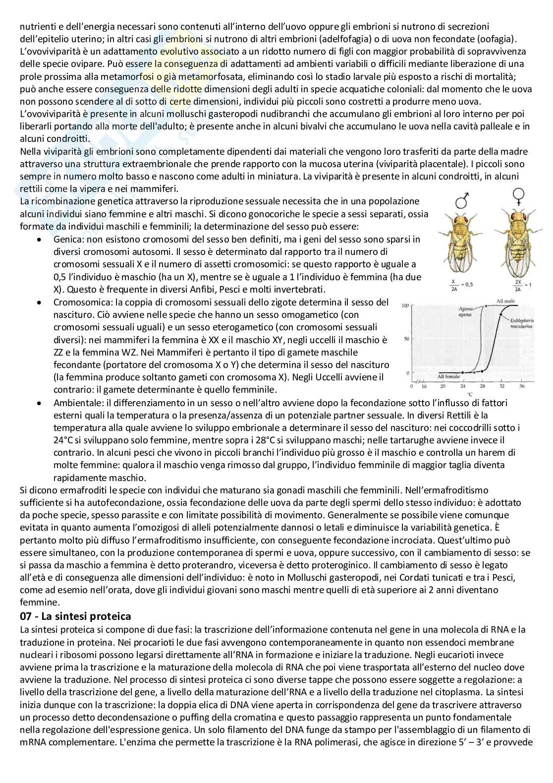 Biologia cellulare e atlante istologico - Guida completa per l'esame Pag. 26