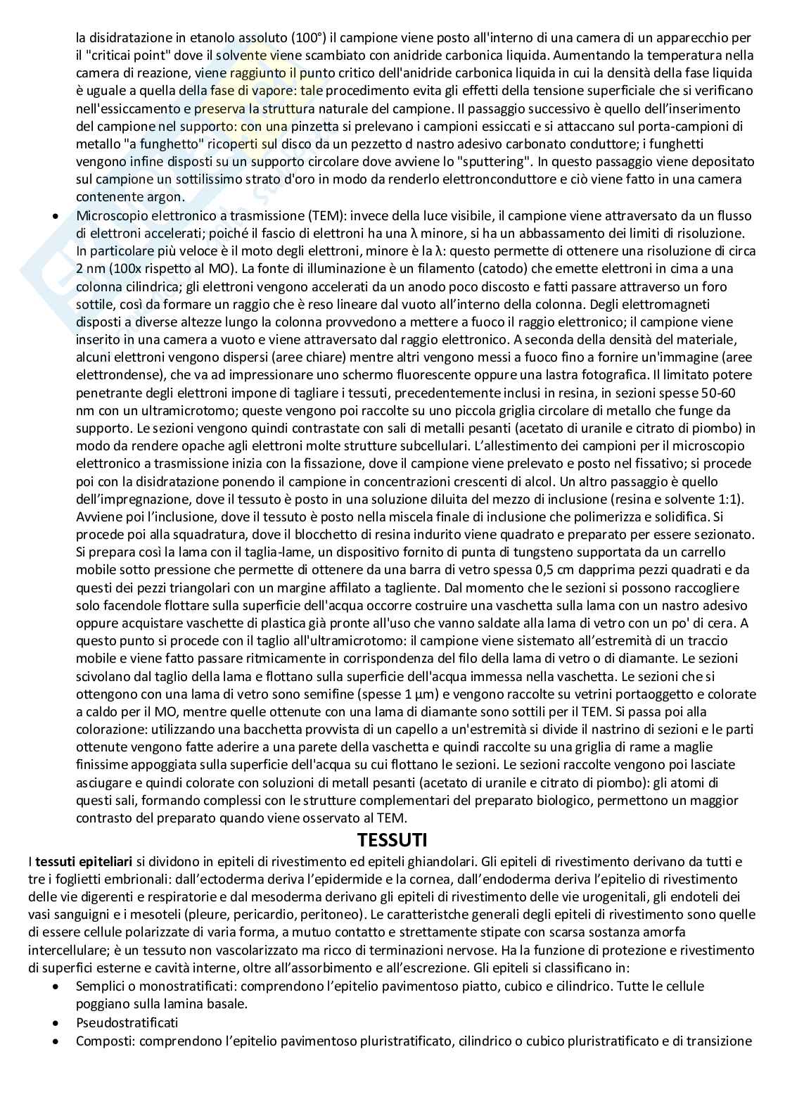 Biologia cellulare e atlante istologico - Guida completa per l'esame Pag. 41