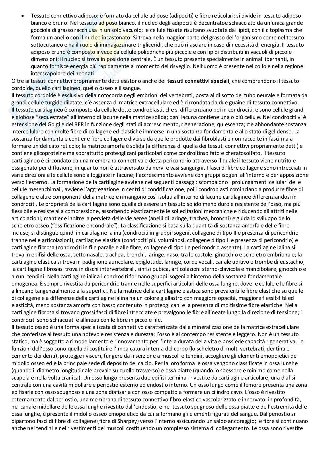 Biologia cellulare e atlante istologico - Guida completa per l'esame Pag. 46