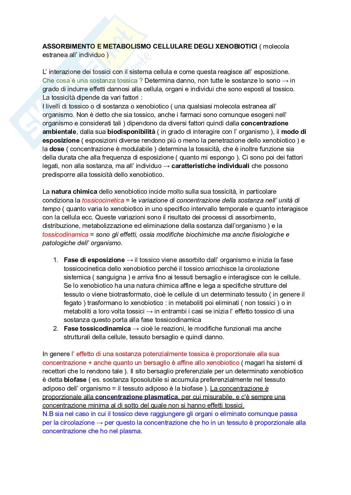 Assorbimento e metabolismo cellulare degli xenobiotici Pag. 1
