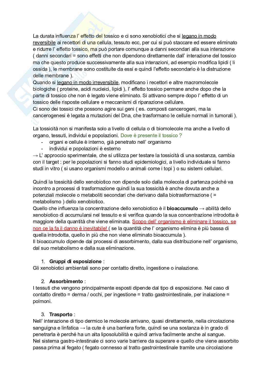 Assorbimento e metabolismo cellulare degli xenobiotici Pag. 2