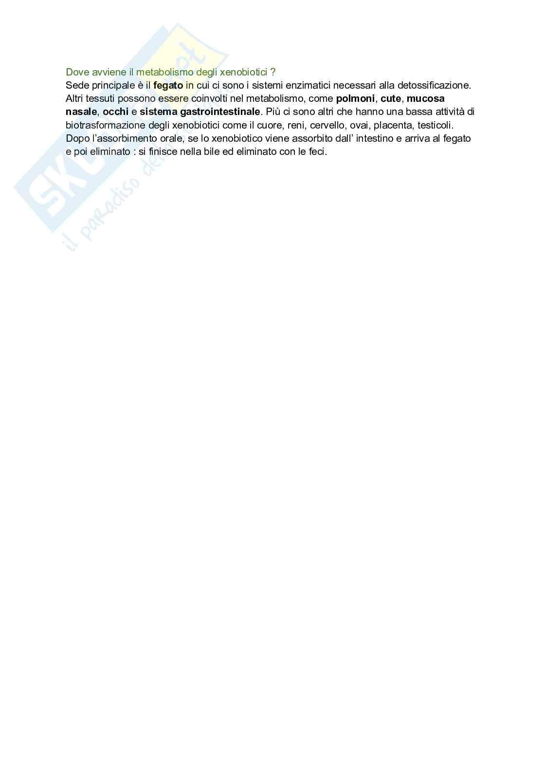 Assorbimento e metabolismo cellulare degli xenobiotici Pag. 6