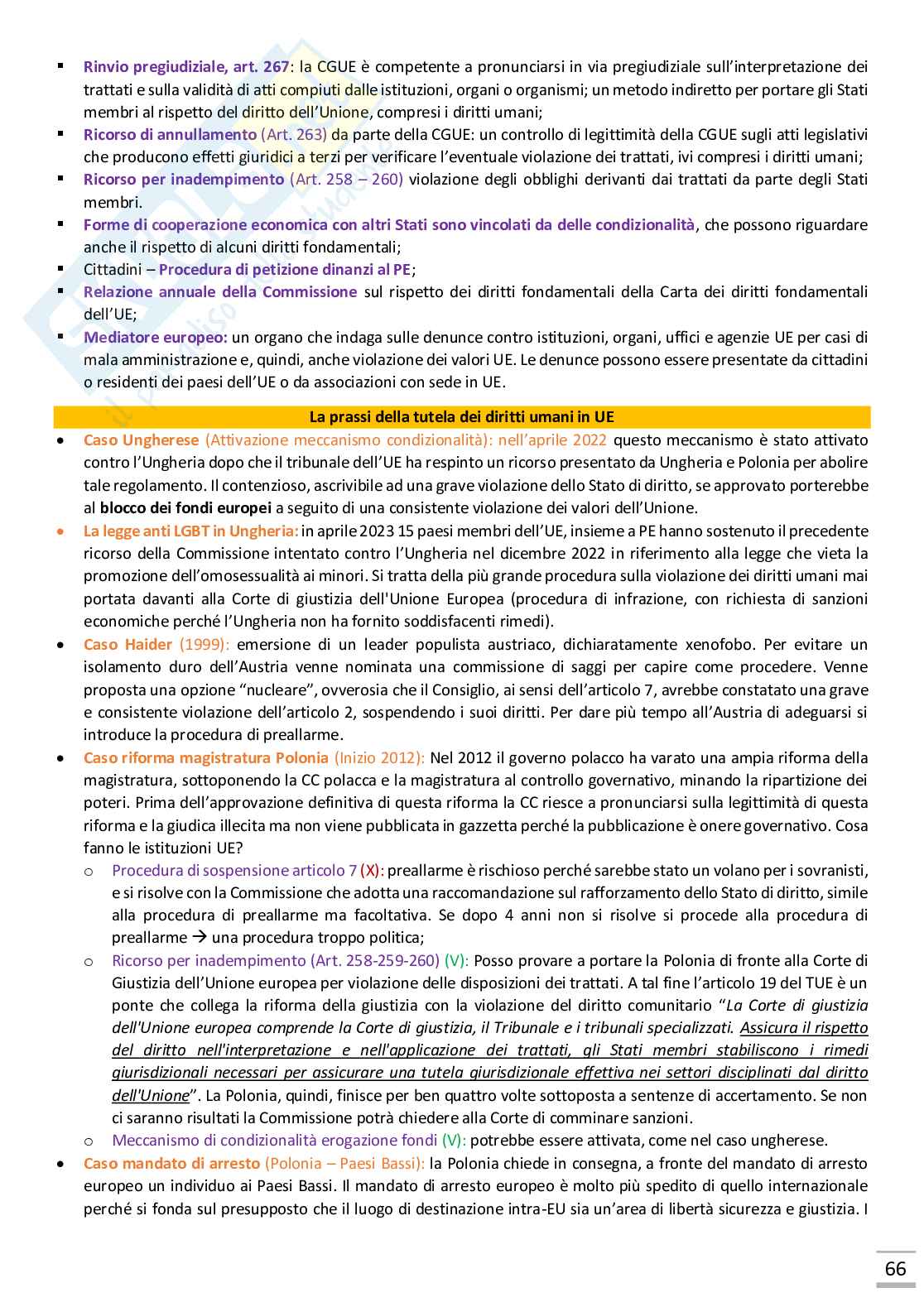 Appunti esame Diritto dell'Unione Europea Pag. 66