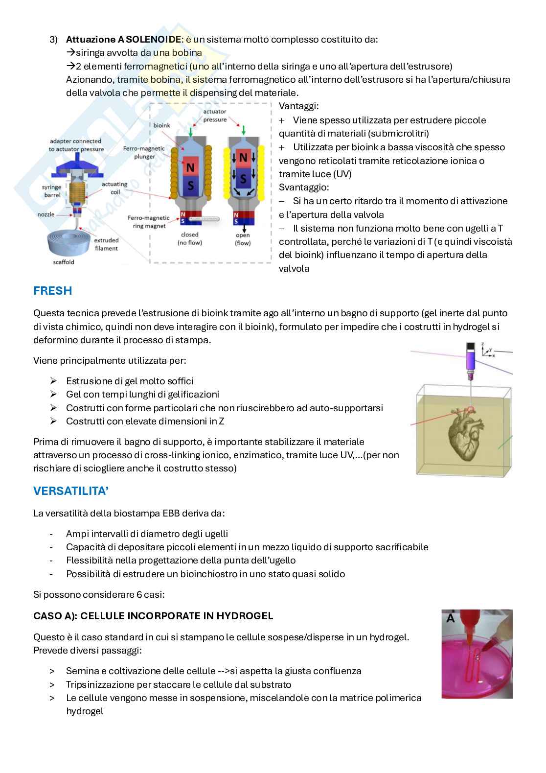 Appunti Biofabbricazione e Bioprinting Pag. 31