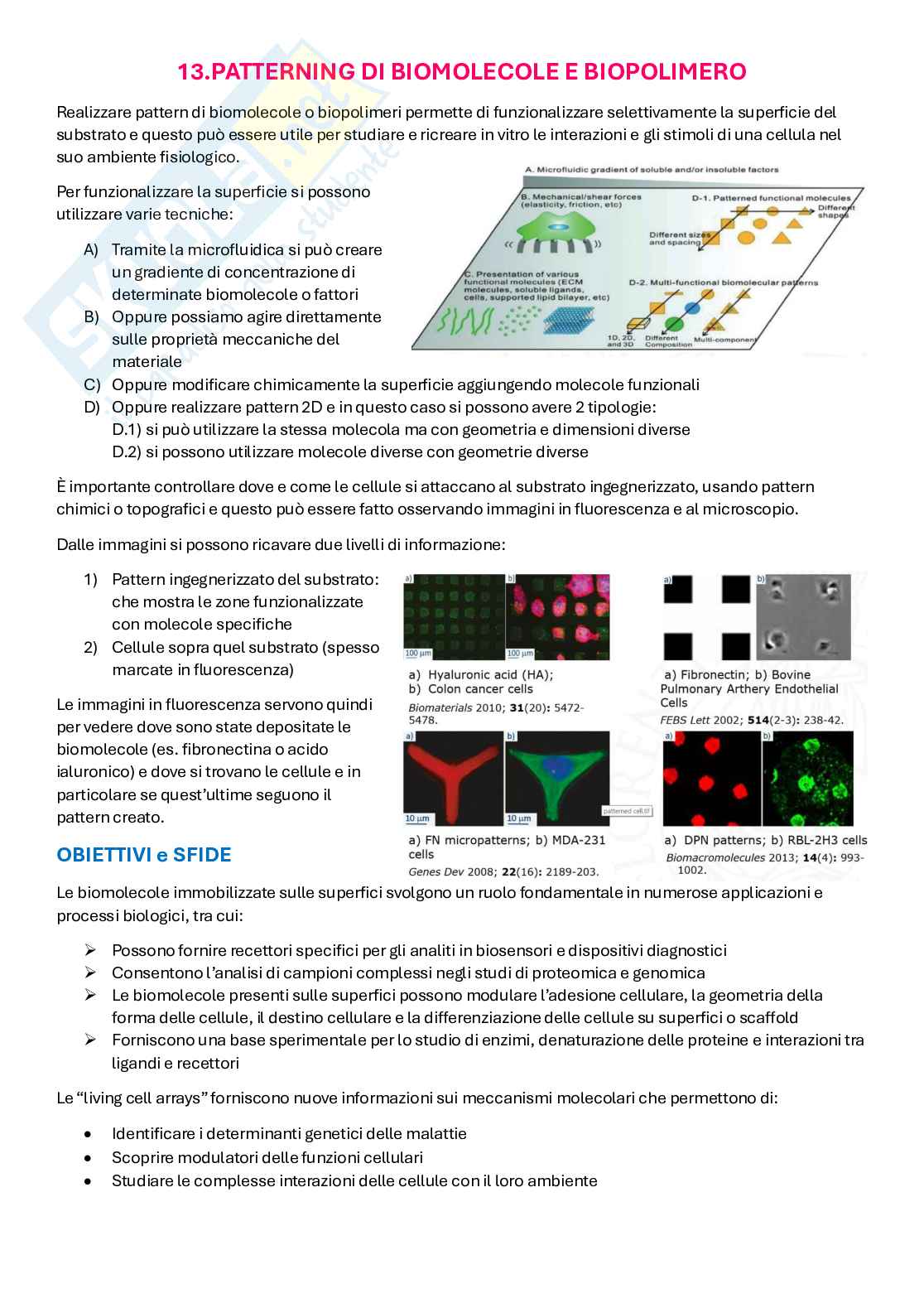 Appunti Biofabbricazione e Bioprinting Pag. 71