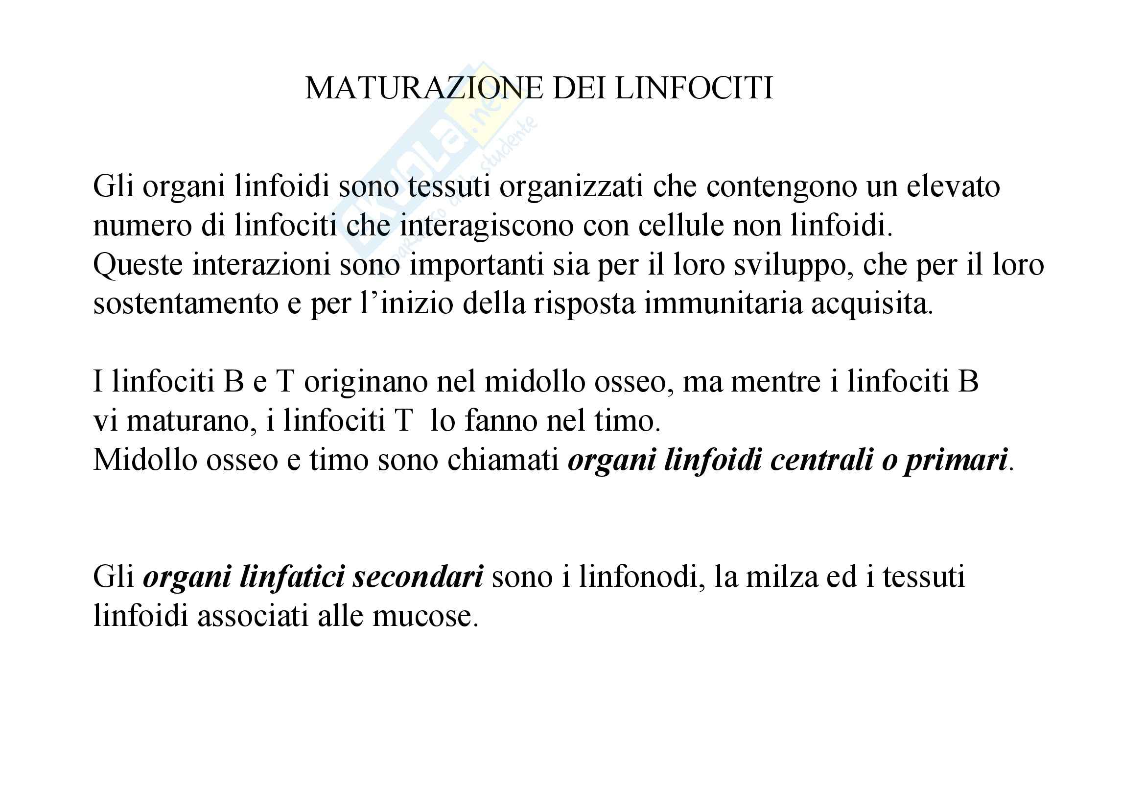 Immunologia - diversità recettori linfocitari Pag. 2