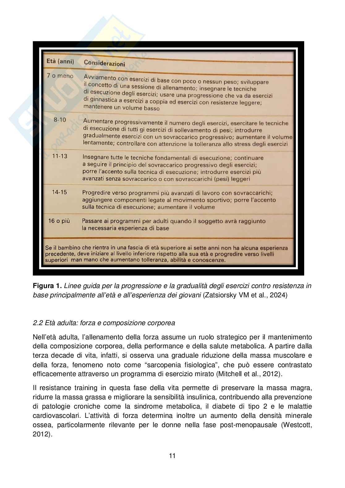 Allenamento della forza lungo l'arco della vita: effetti acuti di un protocollo a 12RM sulla funzione neuromuscolare e sulla percezione muscolare in giovani adulti Pag. 11