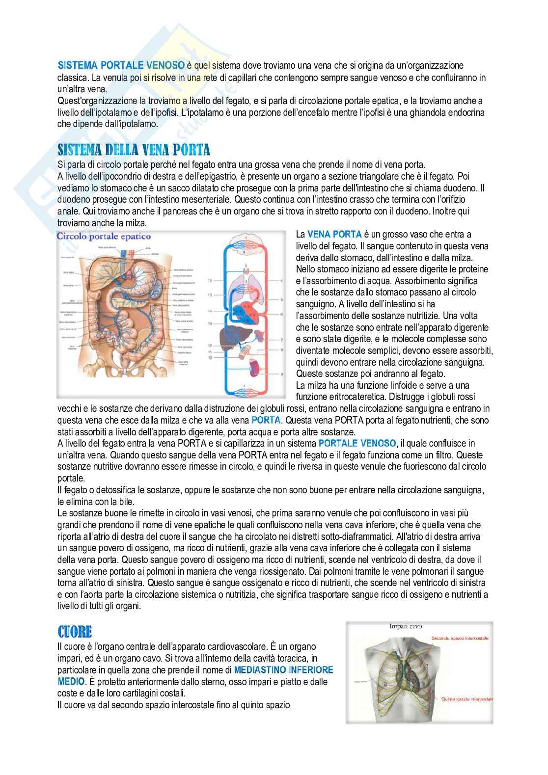 Anatomia umana Pag. 26