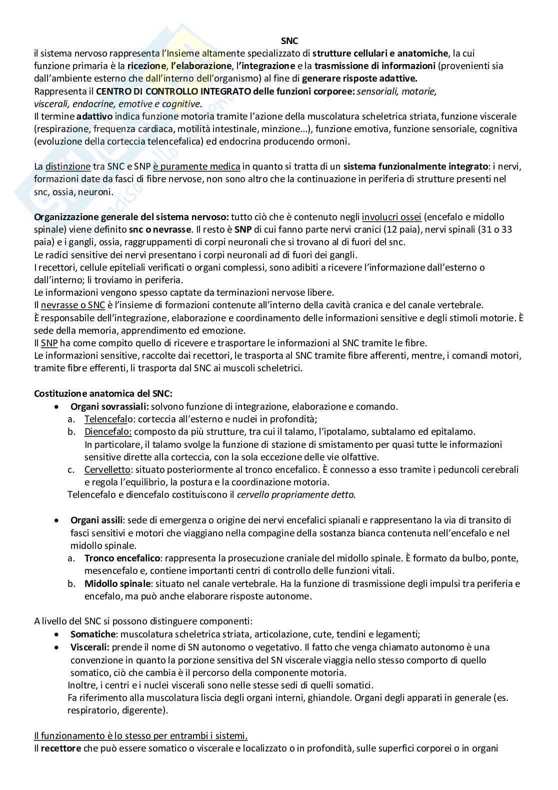 Sistema Nervoso Centrale Pag. 1